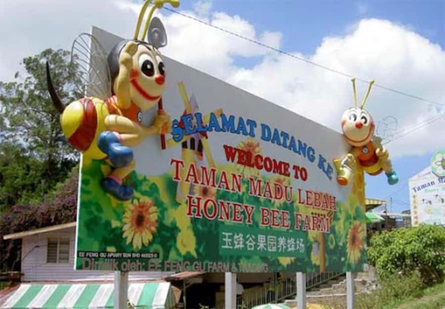 From Kuala Lumpur: Cameron Highlands Private or Join In Tour - What the guide and vehicle add to the day