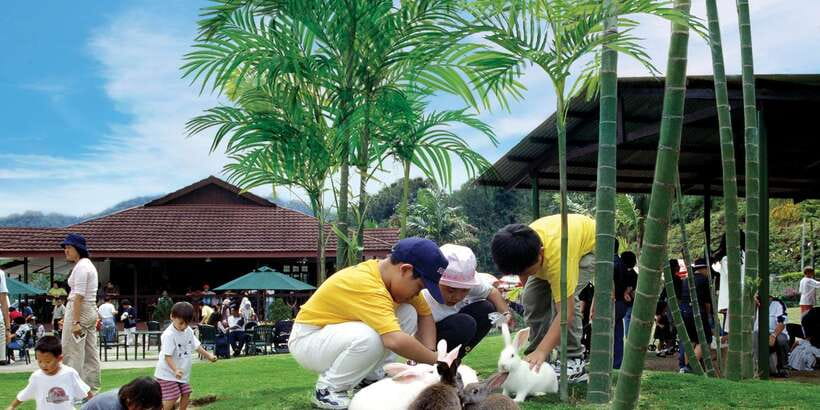 From Kuala Lumpur: Colmar Tropicale and Batu Caves Day Trip - Who should book this day trip?