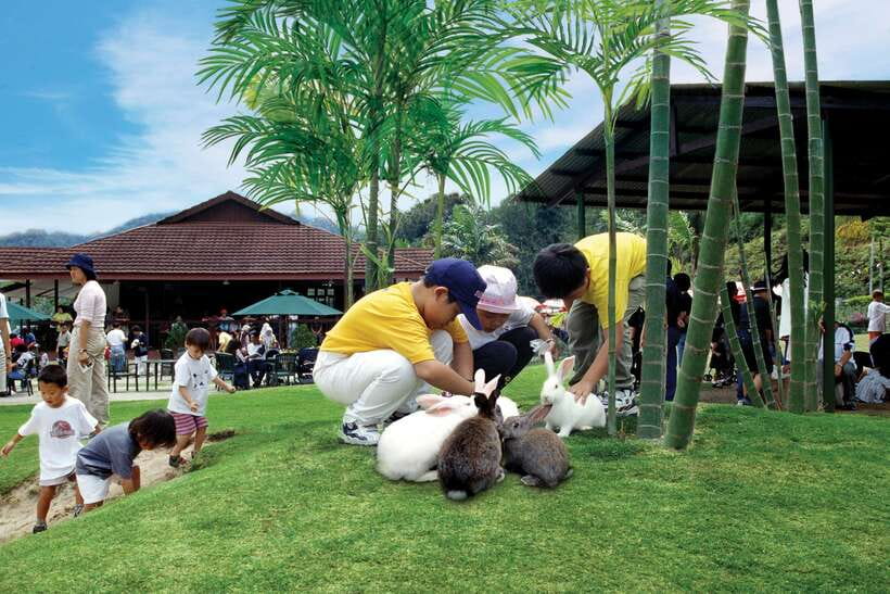 From Kuala Lumpur: Colmar Tropicale and Batu Caves Day Trip - The Japanese Village and gardens slow the pace