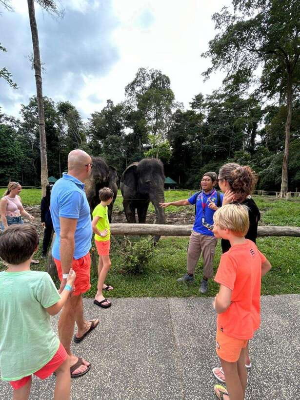 From Kuala Lumpur: Elephant Sanctuary Guided Tour - The useful details at a glance