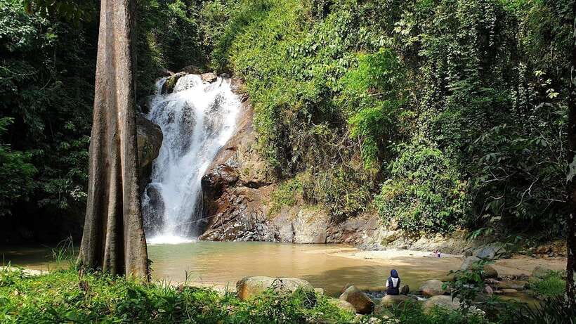 From Kuala Lumpur: Elephant Sanctuary Guided Tour - Leaving Kuala Lumpur for the countryside