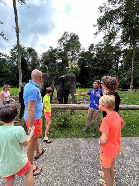 From Kuala Lumpur: Elephant Sanctuary Guided Tour - Lunch and the return to Kuala Lumpur