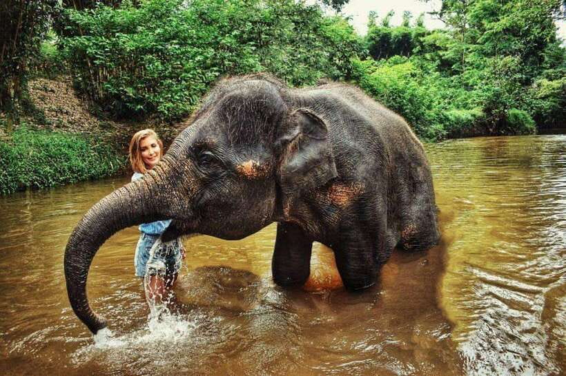 From Kuala Lumpur: Elephant Sanctuary Guided Tour - Learning about the elephants at Kuala Gandah