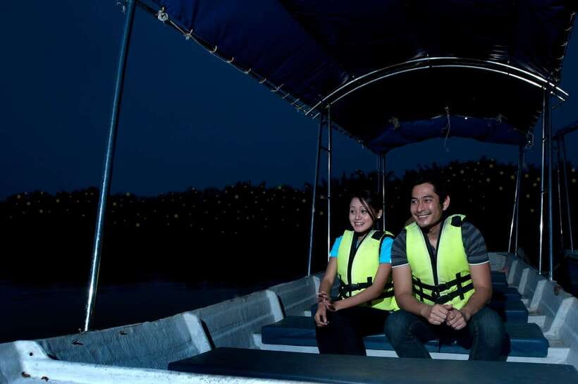 From Kuala Lumpur: Fireflies Tour and Seafood Dinner - Kampung Kuantan after dark