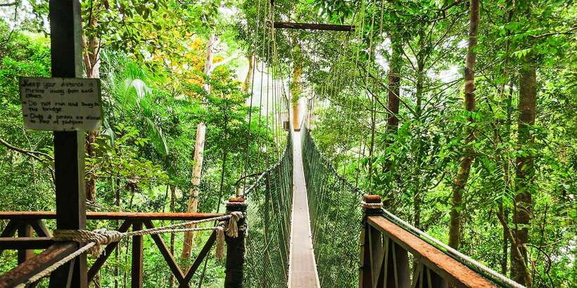 From Kuala Lumpur: Full-Day Taman Negara National Park - Should you book the Taman Negara day trip?