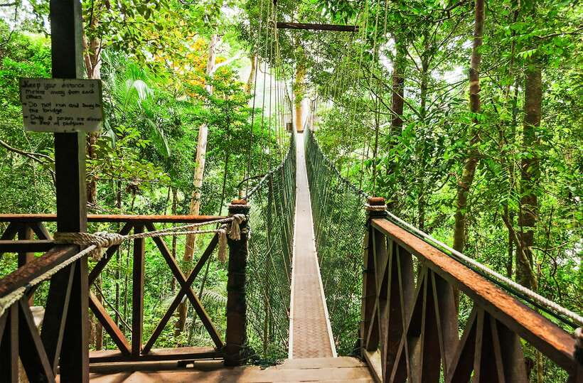 From Kuala Lumpur: Full-Day Taman Negara National Park - Lunch beside the river in Kampung Kuala Tahan