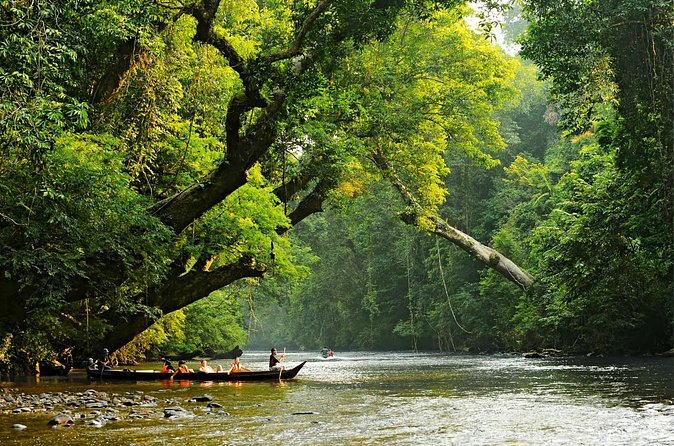 From Kuala Lumpur Taman Negara Day Trip With Lunch - Lunch, price and what the day includes