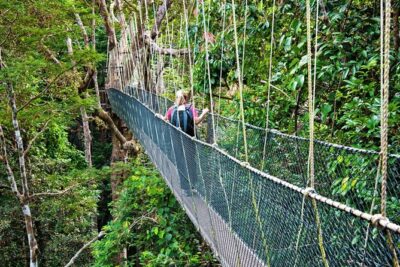 From Kuala Lumpur Taman Negara Day Trip With Lunch