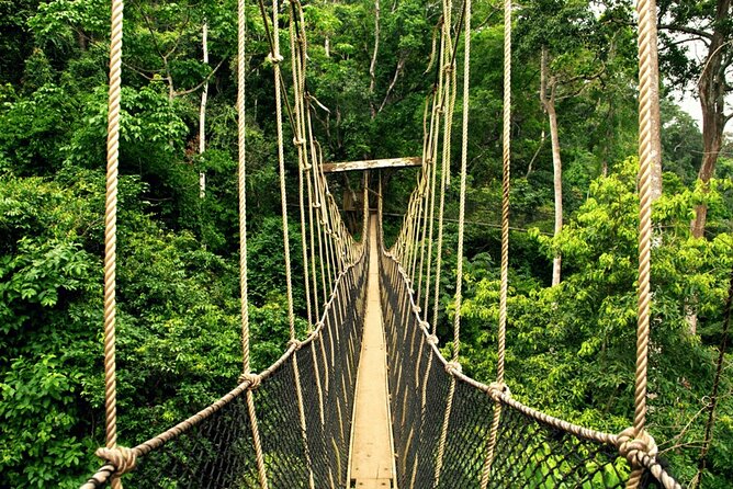 From Kuala Lumpur Taman Negara Day Trip With Lunch - Should you book it?