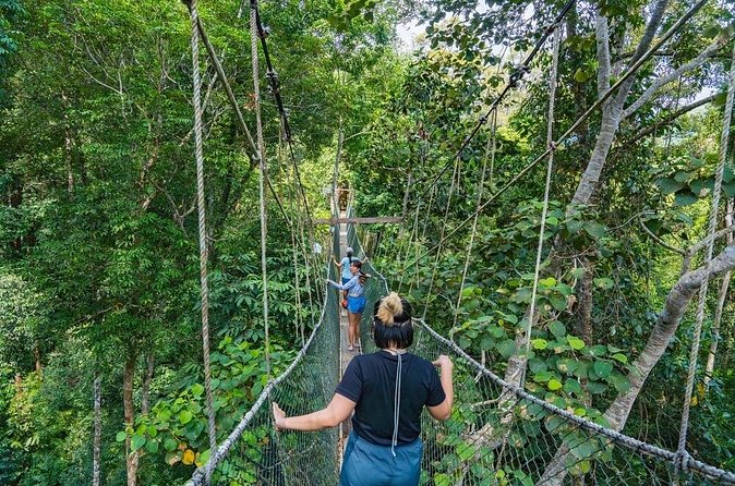 From Kuala Lumpur Taman Negara Day Trip With Lunch - FAQ