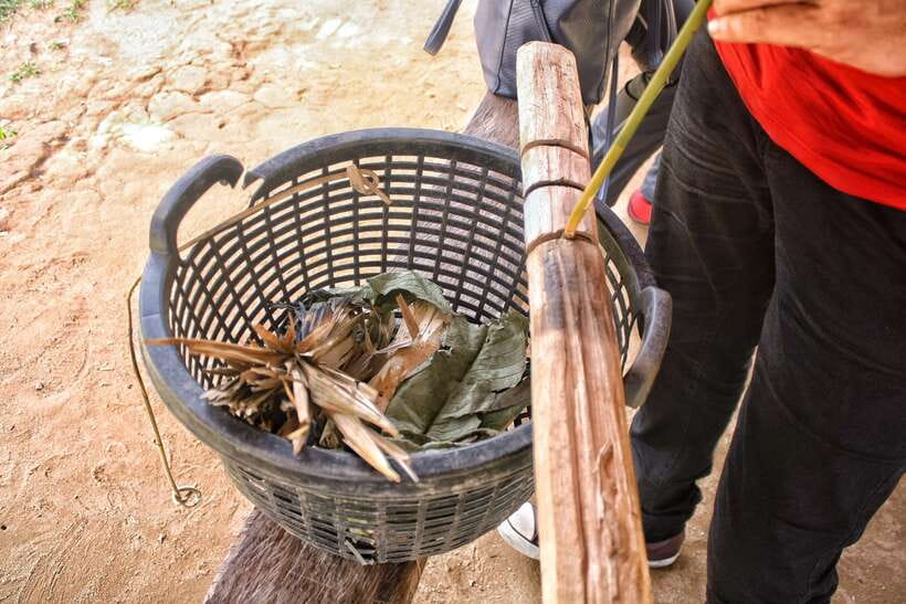 From Kuala Lumpur: Taman Negara National Park Trek Day Tour - Who should book this day trip