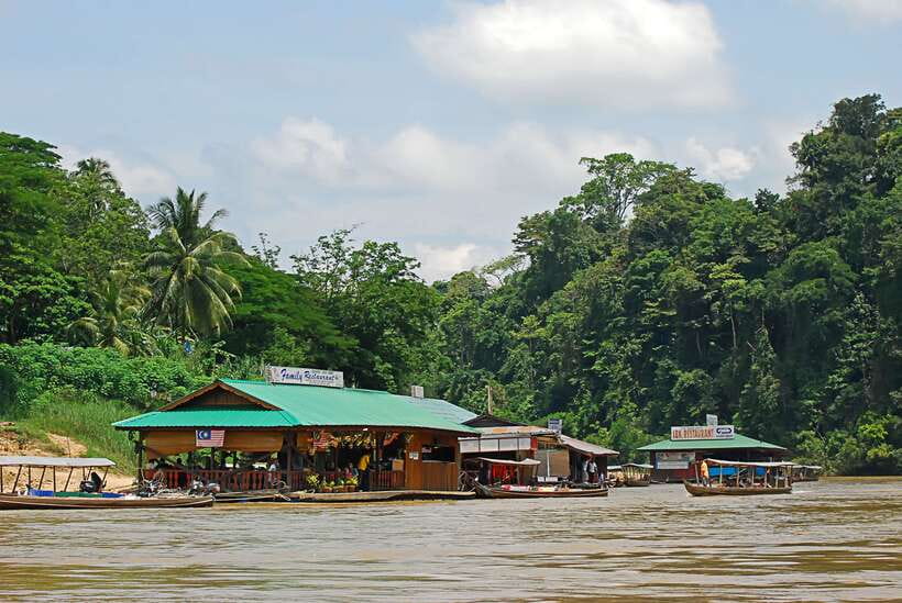 From Kuala Lumpur: Taman Negara National Park Trek Day Tour - Walking the rainforest to Teresek Hill