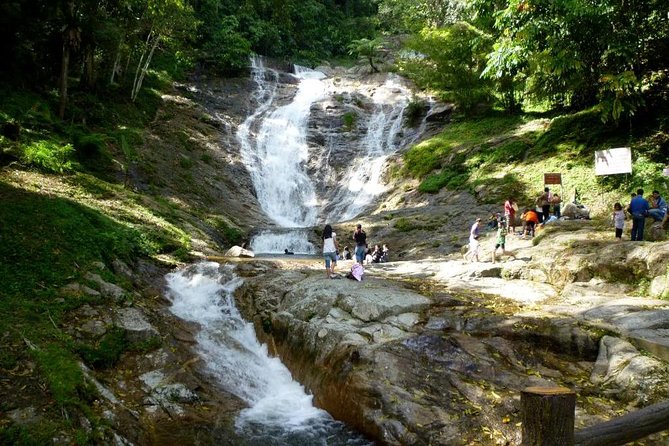 Full-day Cameron Highlands Day Trip from Kuala Lumpur - BOH Tea Plantation, the main event