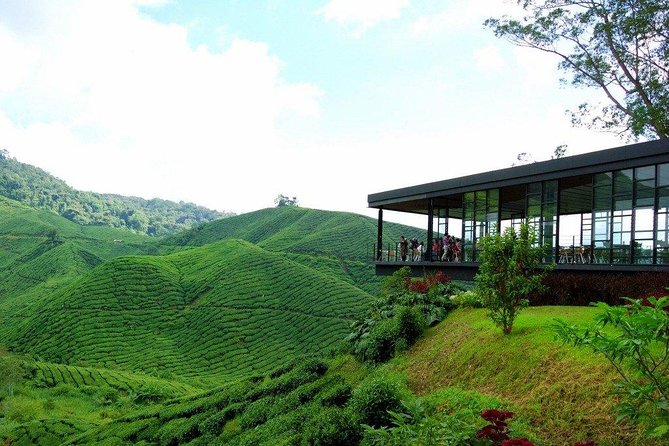Full-day Cameron Highlands Day Trip from Kuala Lumpur - The Brinchang night market and the timing question
