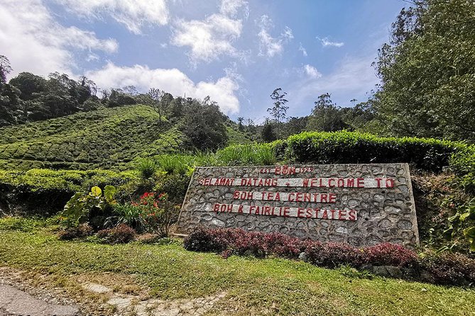 Full-day Cameron Highlands Day Trip from Kuala Lumpur - Is $93 good value?