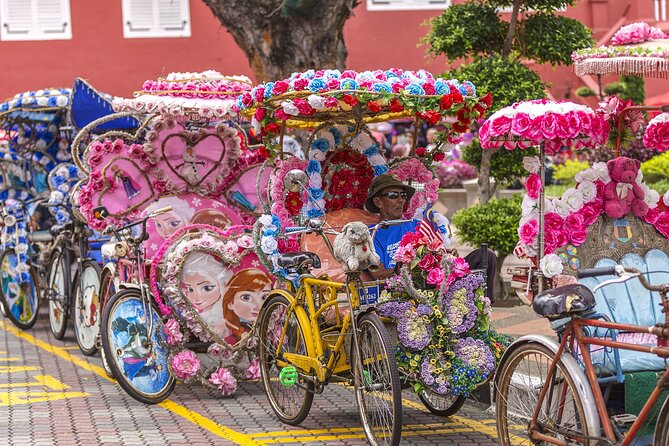 Full day in Malacca Historical Private Tour in Kuala Lumpur - Who should book this Malacca day trip