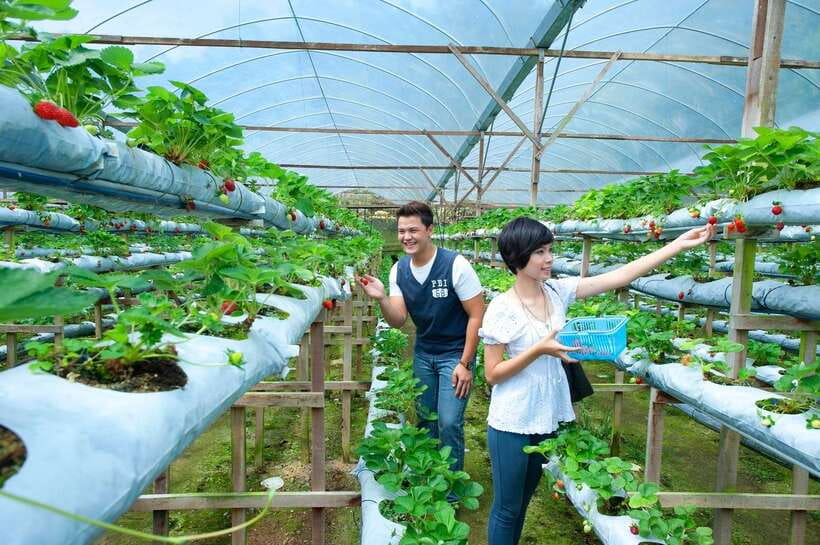 Genting Highland: Private Day Trip from Kuala Lumpur - Making sense of Genting Highlands