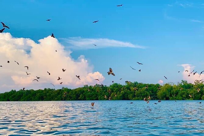 Instagrammable Kuala Selangor Sky Mirror Tour with Transfer - What the $90 fare covers