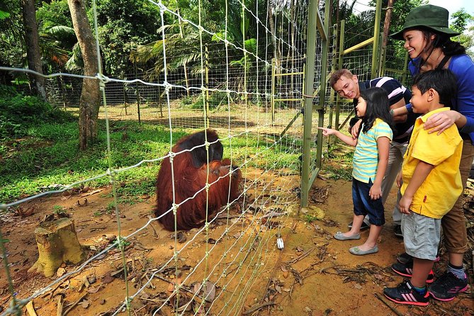 Ipoh Private Day Trip from Kuala Lumpur with Lunch - Orang Utan Island and the boat ride