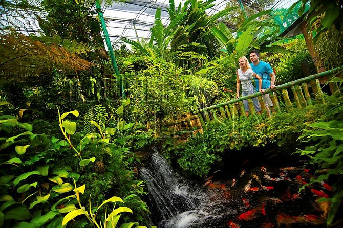 KL Butterfly Park Admission with Kuala Lumpur Famous Landmarks - Is $53.08 Good Value?