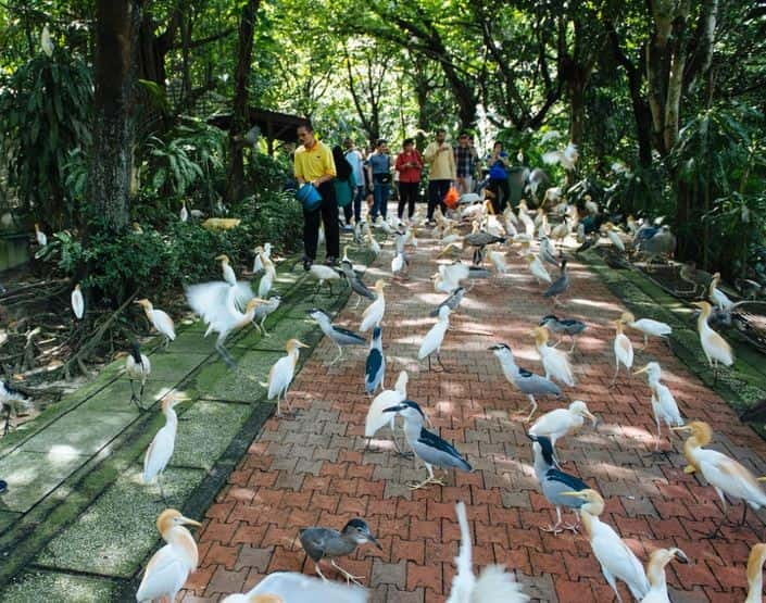Kuala Lumpur: Bird Park, Butterfly & Garden Private Tour - Starting from your hotel
