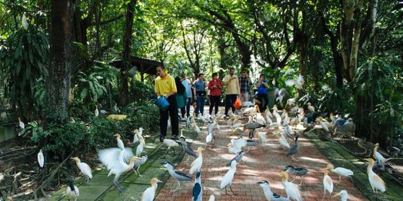 Kuala Lumpur: Bird Park, Butterfly & Garden Private Tour - Pace, comfort and the kind of guide to expect