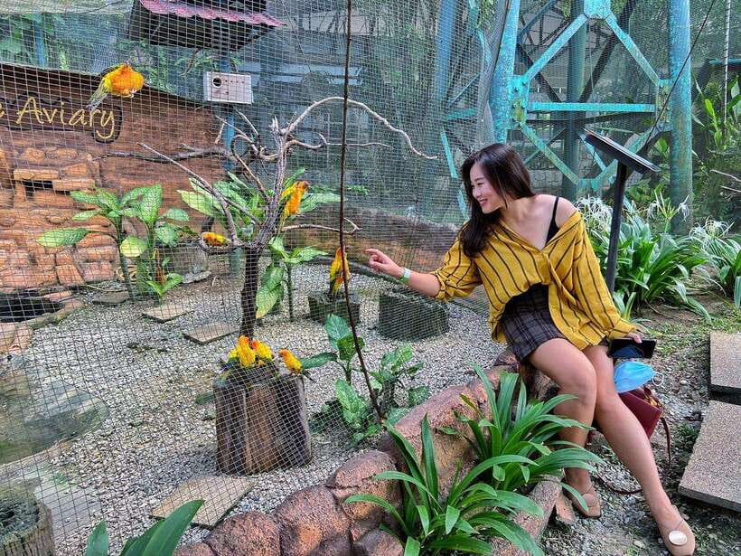 Kuala Lumpur: Bird Park Day Ticket & 1-Way Transfer - Should you book it?