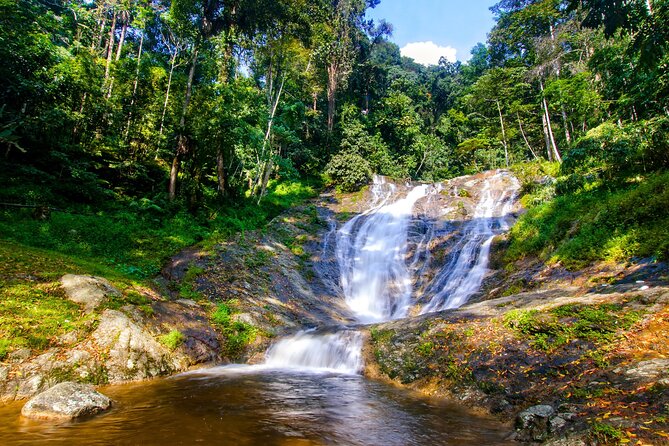 Kuala Lumpur: Cameron Highlands & Batu Caves Private Day Tour - Cactus Valley and BOH tea