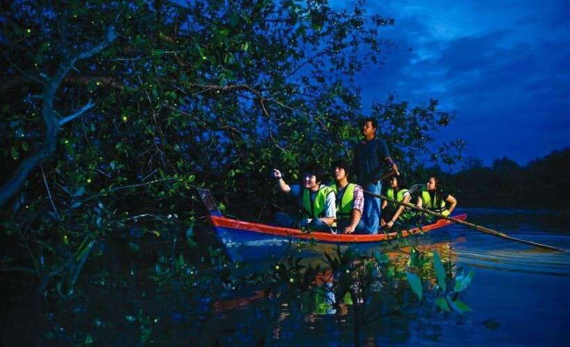 Kuala Lumpur: City Sights, Batu Caves and Fireflies Day Trip - Fireflies on the Selangor River after dark