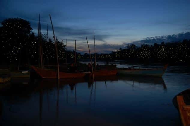 Kuala Lumpur: Fireflies & Blue Tears Tour with Seafood Meal - Climbing to Altingburg Lighthouse