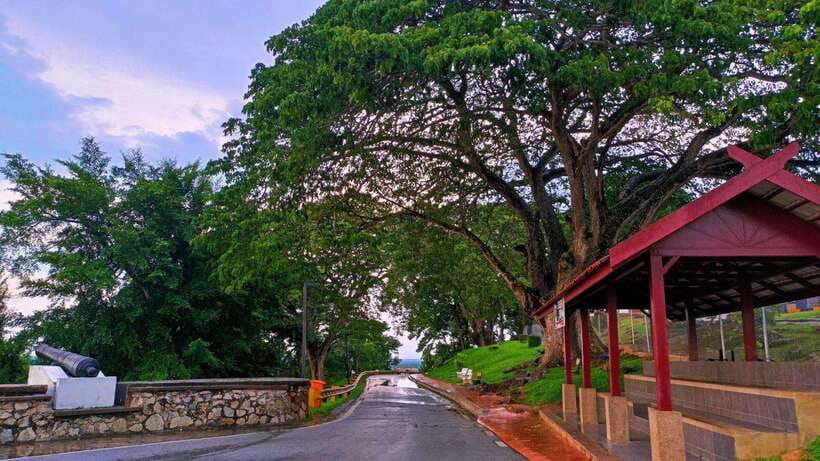 Kuala Lumpur: Fireflies & Blue Tears Tour with Seafood Meal - Who will enjoy this evening most
