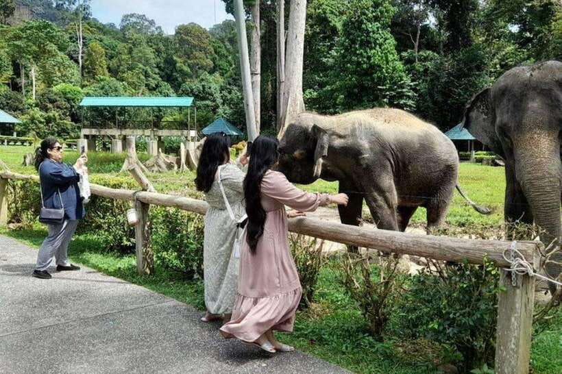 Kuala Lumpur: Kuala Gandah and Batu Caves Private Trip - From temple steps to elephant country