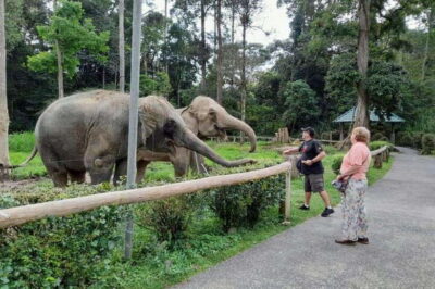 Kuala Gandah and Batu Caves Private Trip