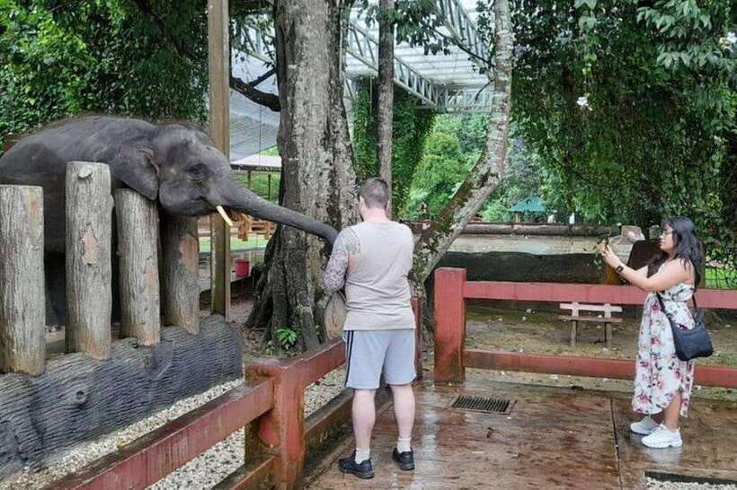 Kuala Lumpur: Kuala Gandah and Batu Caves Private Trip - What the $65 price buys