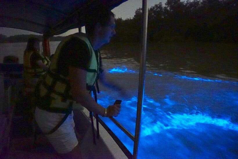 Kuala Lumpur: Kuala Selangor Fireflies and Blue Tears Tour - Eight hours means a full day away from Kuala Lumpur