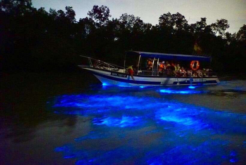 Kuala Lumpur: Kuala Selangor Fireflies and Blue Tears Tour - Who should book this tour?