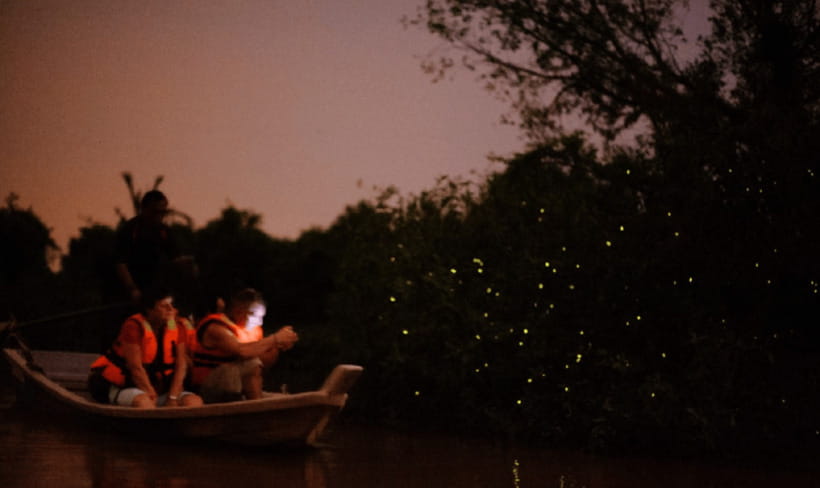 Kuala Lumpur: Kuala Selangor Firefly Tour and Dinner - Who will enjoy this outing