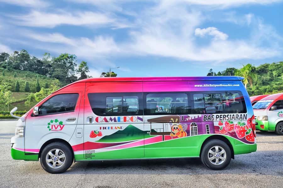 Kuala Lumpur: Sightseeing by Private Vehicle with Driver - At a glance