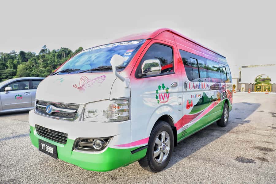 Kuala Lumpur: Sightseeing by Private Vehicle with Driver - How to plan a day that works