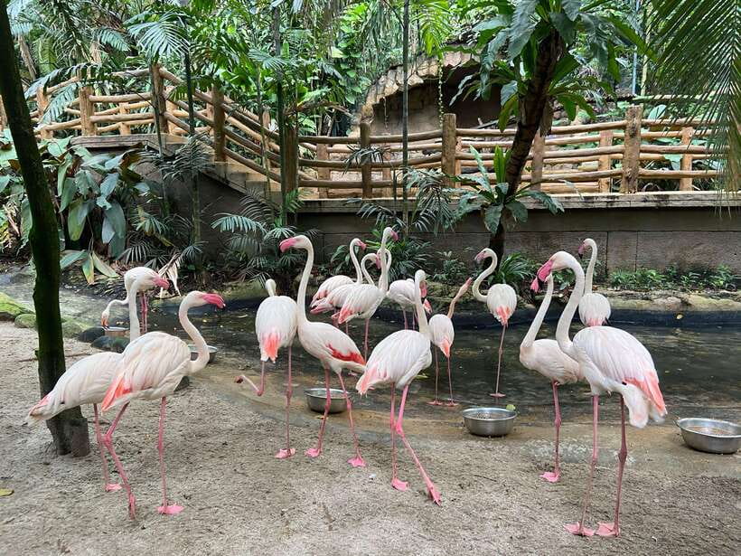 Kuala Lumpur: Sunway Lagoon Ticket & 1-Way Transfer - Getting from Kuala Lumpur to the park
