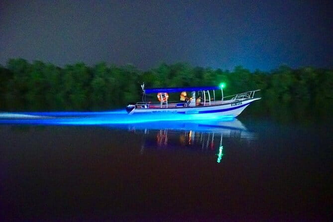 Kuala Selangor Fireflies and Blue Tears Tour with Dinner (SIC) - Fireflies in the mangroves after dark