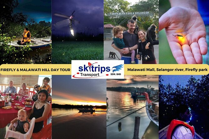 Kuala Selangor Fireflies - Batu Caves Temple- Malawati Hill DayTour With Dinner - From Batu Caves to the river after dark