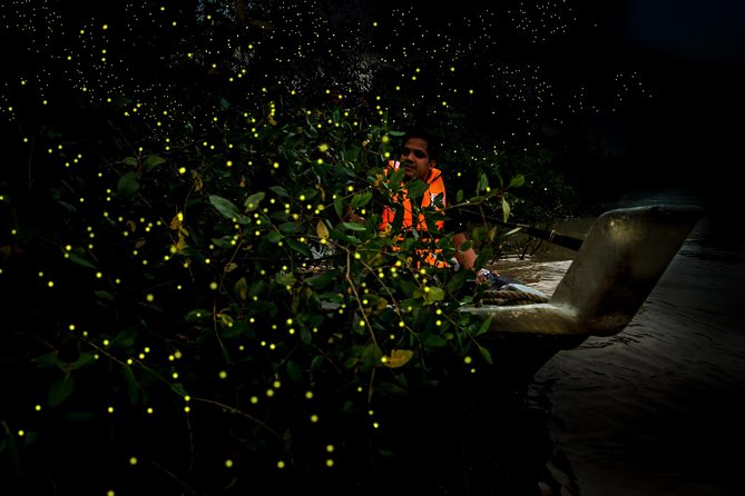 Kuala Selangor Fireflies - Batu Caves Temple- Malawati Hill DayTour With Dinner - Sri Shakti Temple: a brief look at Hindu symbolism