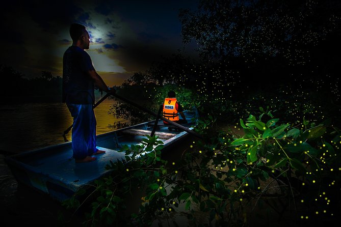 Kuala Selangor Fireflies - Batu Caves Temple- Malawati Hill DayTour With Dinner - Practical details before you book