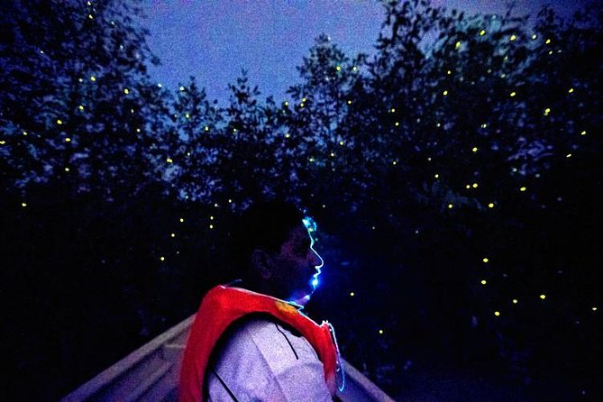 Kuala Selangor Fireflies Evening River Cruise from Kuala Lumpur - Bukit Melawati: lighthouse views and monkeys