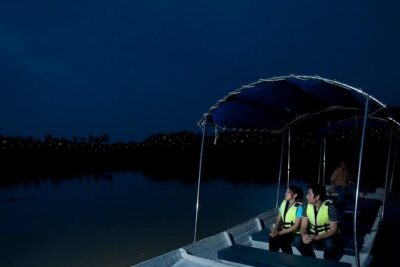 Kuala Selangor Tour from Kuala Lumpur with Fireflies Boat Ride and Seafood Dinner