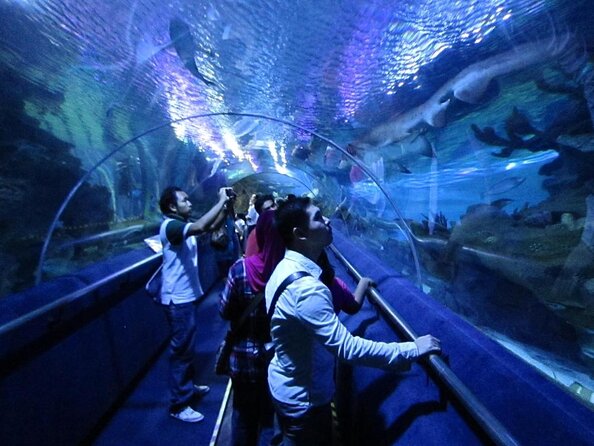 Malaysia: Aquaria KLCC Entry Ticket - What to know before you go