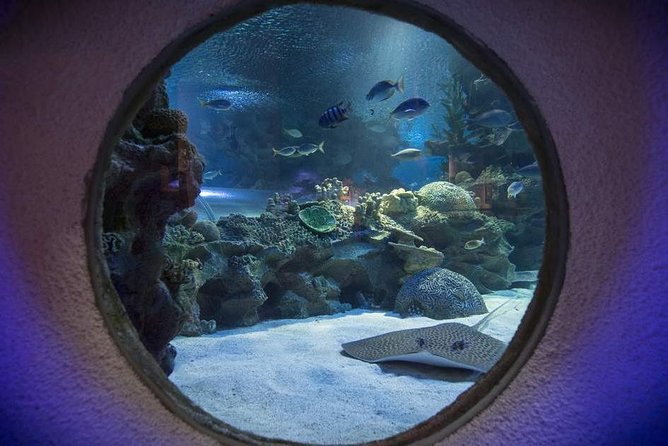Malaysia: Aquaria KLCC Entry Ticket - A self-guided visit, not a tour group