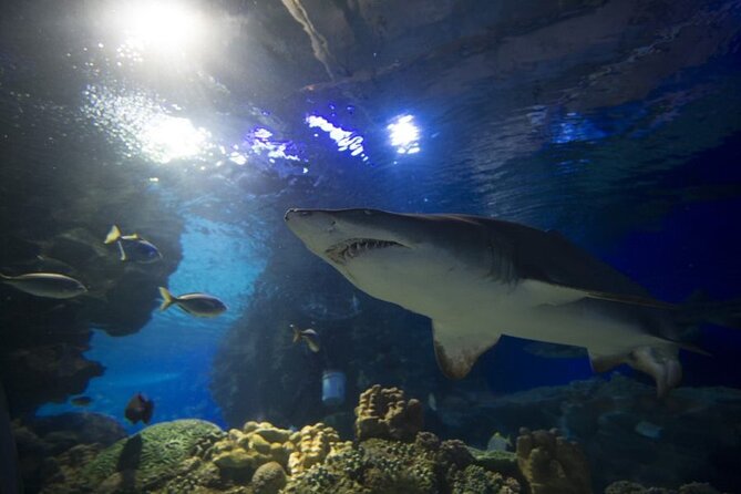 Malaysia: Aquaria KLCC Entry Ticket - Location and opening hours