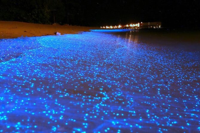 Mystical Nights: Fireflies & Blue Tears Adventure - A night on the water, with a long road before it